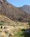1510 Vandring I Dalen Brandberg Namibia Anne Vibeke Rejser IMG 6311