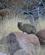 1514 Nysgerrig Hyrax Klippegraevling Brandberg Namibia Anne Vibeke Rejser DSC01496