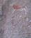 1522 Tegning Af Dyr Og Mennesker Brandberg Namibia Anne Vibeke Rejser IMG 6323