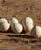 234 Strudseaeg Safari Oudtshoorn Sydafrika Anne Vibeke Rejserdsc06376