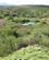 614 Vandhul Set Fra Hytten Kwena Lodge Gondwana Game Reserve Sydafrika Anne Vibeke Rejser IMG 1180