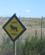622 Der Kan Komme En Loeve Forbi Gondwana Game Reserve Sydafrika Anne Vibeke Rejser IMG 1154
