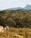 630 Eland Antilope Gondwana Game Reserve Sydafrika Anne Vibeke Rejser DSC06667