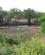 112 Udsigt Mod Olifant River Balule River Lodge Phalaborwa Sydafrika Anne Vibeke Rejser IMG 1581