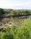 120 Olifant River Balule River Lodge Phalaborwa Sydafrika Anne Vibeke Rejserimg 1421
