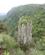 360 The Pinnacle Rock Drakensberg Sydafrika Anne Vibeke Rejser IMG 1544