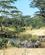130 Zebraer Ved Vandhul Serengeti Tanzania Anne Vibeke Rejser