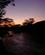 510 Morgenlys Ved Ntungwe Floden Queen Elizabeth N.P. Uganda Anne Vibeke Rejser PICT0257