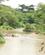 570 Regnen Goer Ntungwe Floden Brun Ishasha Wilderness Camp Queen Elizabeth N.P. Uganda Anne Vibeke Rejser PICT0381
