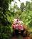 302 Quadbiking Gennem Plantage Jinja Uganda Anne Vibeke Rejser PICT0030
