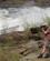 410 Din Rejseskribent Ved Murchison Falls Uganda Anne Vibeke Rejser IMG 9201