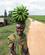 580 Paa Vej Til Markedet Med Bananer Crater View Kibale Uganda Anne Vibeke Rejser IMG 9305