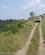 750 Safari I Queen Elisabeth N.P. Uganda Anne Vibeke Rejser IMG 9418