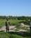 1020 Boefler Paa Behoerig Afstand Lake Mburo N.P. Uganda Anne Vibeke Rejser IMG 9486