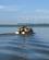 1100 Flodsafari Paa Lake Mburo N.P. Uganda Anne Vibeke Rejser IMG 9504