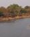 270 Udsigt Til Flodheste I Luangwa Floden South Luangwa N.P. Zambia Anne Vibeke Rejser DSC04740
