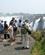 150 Vandring Langs Victoria Falls N.P. Zimbabwe Anne Vibeke Rejser IMG 6268