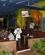 190 Restaurant Mama Africa Eating House Victoria Falls Zimbabwe Anne Vibeke Rejser IMG 6313