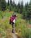 320 Op Gennem Skoven Bugaboo Provincial Park British Columbia Canada Anne Vibeke Rejser 12