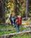 390 Ned Gennem Urskoven Bugaboo Provincial Park British Columbia Canada Anne Vibeke Rejser 64