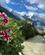 Frankrig Tour De Mont Blanc Charmonix Anne Vibeke Rejser 2023 (4)