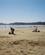 437 Long Beach Vancouver Island British Columbia Canada Anne Vibeke Rejser 53