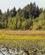 480 Baeversoeen Fyldt Med Blomster Stanley Park Vancouver City British Columbia Canada Anne Vibeke Rejser 80