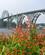 510 Yaquins Bay Bridge I Newport Oregon USA Anne Vibeke Rejser IMG 1474