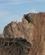 910 Imponerende Klippeformationer I Smith Rock State Park Terrebonne Oregon USA Anne Vibeke Rejser DSC01383