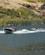 1242 Vandaktiviteter Paa Snake River Twin Falls Idaho USA Anne Vibeke Rejser DSC01439