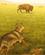 1810 Forklaedt Som Ulv Jages Bison First Peoples Buffalo Jump State Park Ulm Montana USA Anne Vibeke Rejser IMG 2141