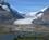 2100 Athabasca Gletsjeren Paa Columbia Icefield Alberta Canada Anne Vibeke Rejser IMG 2318