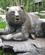 116 Bronzestatue Af Grizzlybjoern Juneau Alaska USA Anne Vibeke Rejser IMG 8747