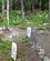 274 Grave Spredt Paa Gold Rush Cemetery Skagway Alaska USA Anne Vibeke Rejser IMG 8884