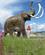 400 Mammut Ved Beringia Museum Whitehorse Yokon Canada Anne Vibeke Rejser IMG 9129