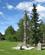 426 Totempael Whitehrese Yokon Canada Anne Vibeke Rejser IMG 9155