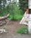 810 Besoeg Hos Athabascan Indianerne I Chena Native Village Fairbanks Alaska USA Anne Vibeke Rejser IMG 9533