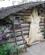 812 Hytte Chena Native Village Fairbanks Alaska USA Anne Vibeke Rejser IMG 9537