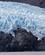 1094 Isspraekker I Gletsjeren Portage Gletsjeren Alaska USA Anne Vibeke Rejser DSC01323