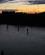 1098 Fiskekonkurrence I Ship Creek Anchorage Alaska USA Anne Vibeke Rejser IMG 0053