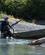1154 Lystfisker Soeger Dakning I Vandet Crescent Lake Lake Clark N.P. Aaska USA Anne Vibeke Rejser DSC01656