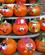 404 Forberedelse Til Halloween Williamsport Pnnsylvania USA Anne Vibeke Rejser IMG 1572