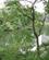 172 Et Stort Rekreativt Omraade Manhattan New York City USA Anne Vibeke Rejser IMG 1141