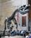182 Rovdyret Tyrannosaurus Rex Manhattan New York City USA Anne Vibeke Rejser IMG 1173