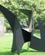 363 Moderne Skulptur Hirshhorn Washington D.C. USA Anne Vibeke Rejser IMG 1462