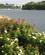 399 Udsigt Mod Potomac River Washington D.C. USA Anne Vibeke Rejser IMG 1565