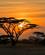 Afrika Kenya Safari Samburu Sunset Africa Tours 2023 Foto Anne Vibeke Rejser