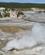 941 Jorden Aander Ved Norris Geyser Basin Yellowstone N.P. Wyoming USA Anne Vibeke Rejser IMG 2009