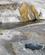 965 Geyser Hill Ved Firehole River Yellowstone N.P. Wyoming USA Anne Vibeke Rejser IMG 2025