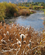 1038 Flat Creek Jackson Hole Wyoming USA Anne Vibeke Rejser IMG 1720
